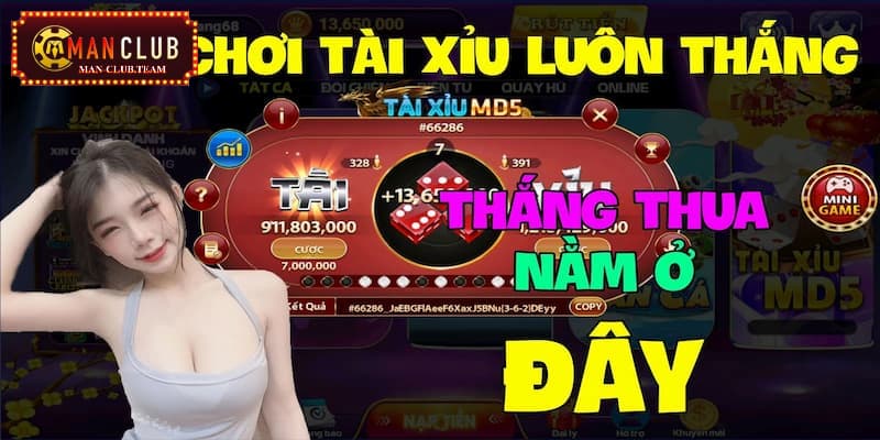 Một vài thông tin chính giới thiệu dòng game tài xỉu online