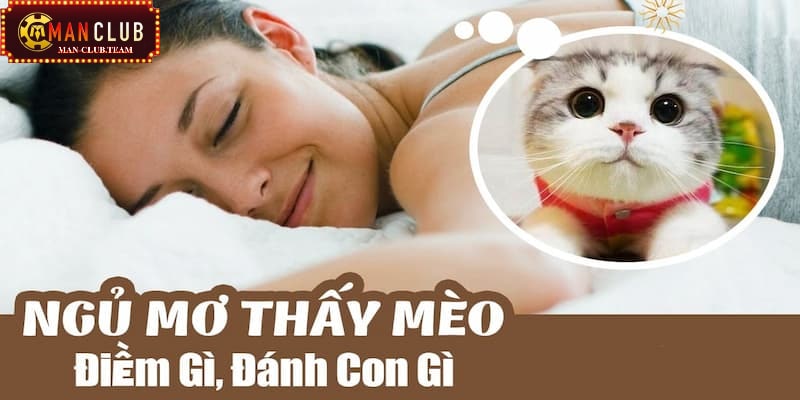 Nằm mơ thấy mèo nên đánh số gì?